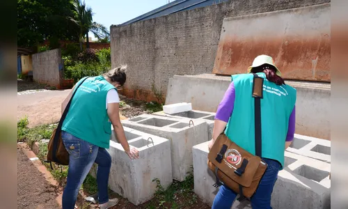 Dengue cancela aulas em dois municípios da região de Apucarana 
