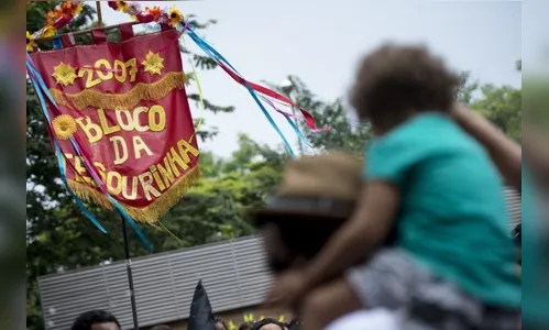 Bloco da Tesourinha reúne pequenos foliões