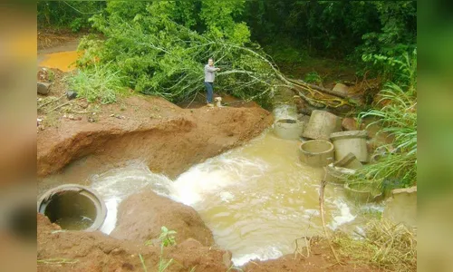 ​Chuvas causam estragos na região de Borrazópolis