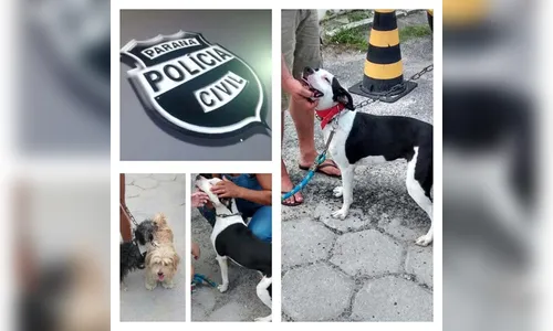 ​Polícia invade casa no Paraná para salvar animais que eram abusados pelo dono