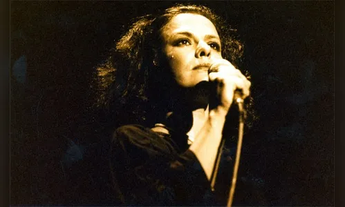 Livro 'Elis Regina- Nada será como antes' traz 