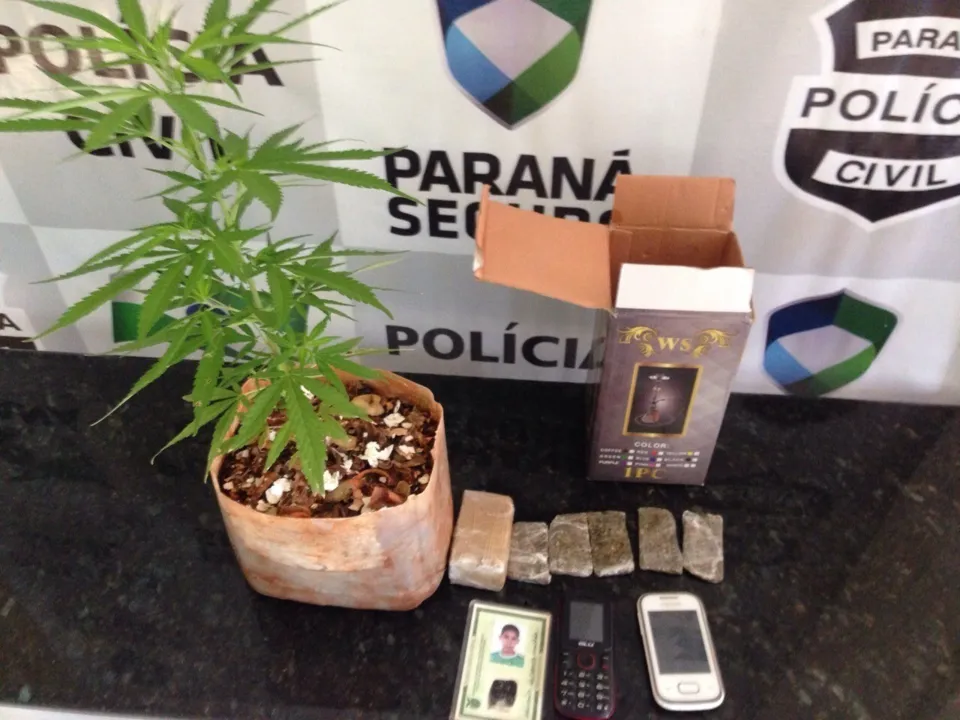 Além da maconha, os policiais encontraram ainda vários tabletes da droga (Foto/Blog do Roque)