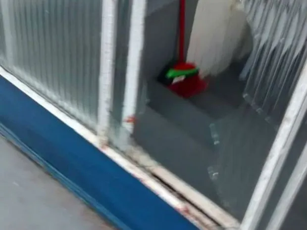 Criança foi arremessada em porta de vidro por brinquedo inflável (Foto: Arquivo pessoal)