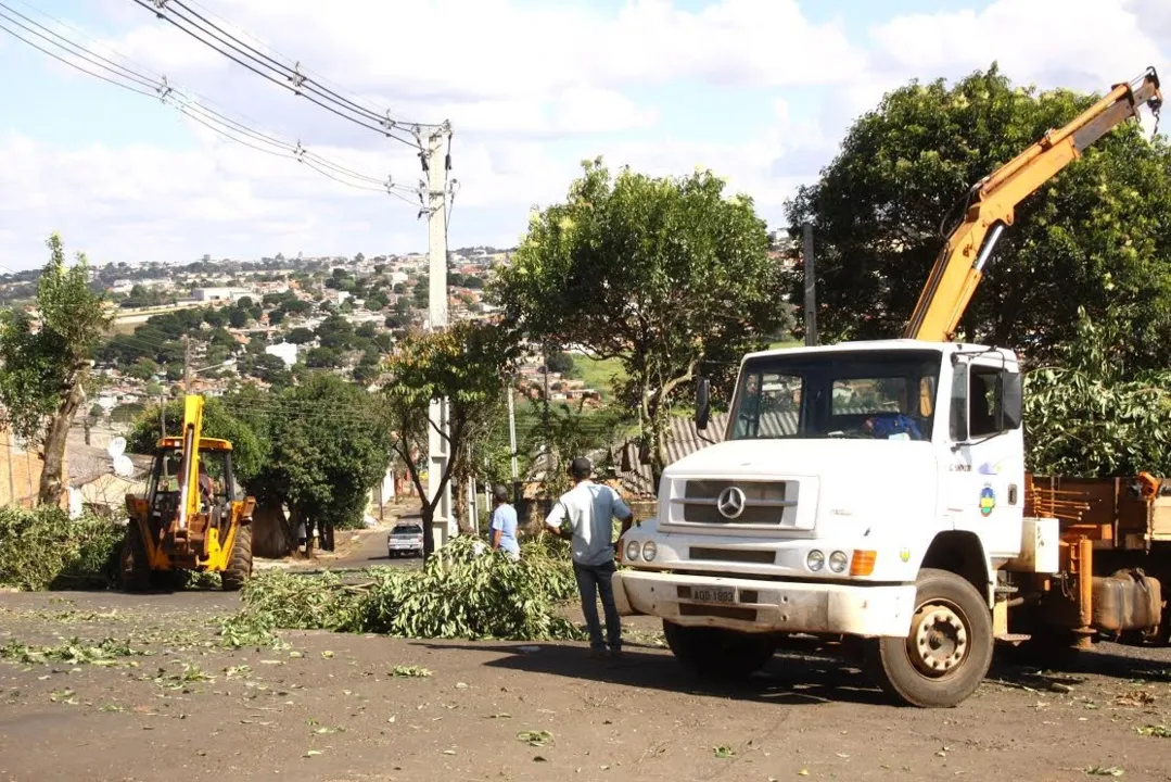 Prefeitura leva poda de árvores ao Dom Romeu Alberti - Foto: Divulgação