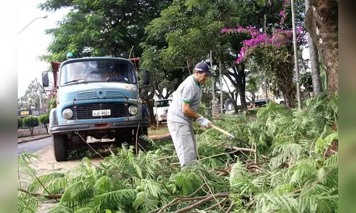 ​Equipe de poda faz manutenção na Praça do 28 de Janeiro