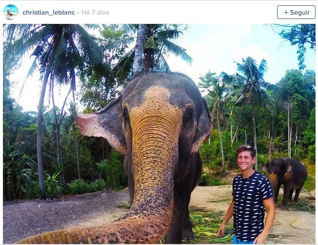 Na semana passada, o mochileiro canadense Christian LeBlanc postou no Instagram uma selfie tirada em um parque da Tailândia, aparentemente “clicada” pela tromba do elefante - Foto: Divulgação