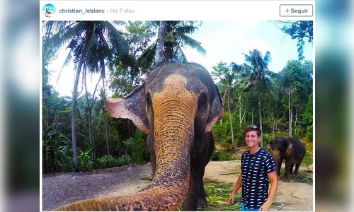 ​Elfie, a selfie tirada por um elefante que bombou no Instagram