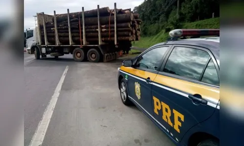 ​Polícia apreende toras de árvore ameaçada de extinção no Paraná