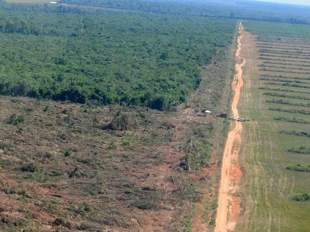 Estado só perde para o Pará na lista de estados que mais devastam as florestas. (Foto: Josi Petengill/ Secom-MT)