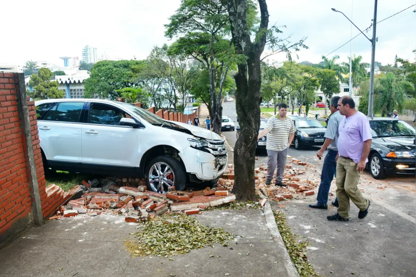  O veículo apenas parou após colidir com uma árvore no local - Foto: Sérgio Rodrigo 