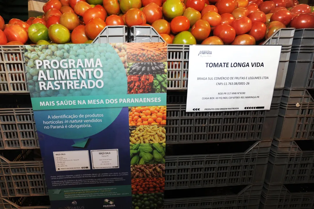 Rotulação de frutas, verduras e legumes no Paraná (Foto: AEN)