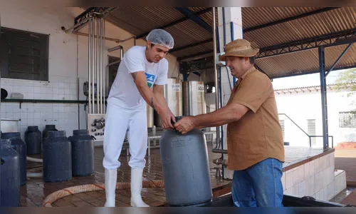 Produção de leite cai e preço já tem alta de 8,51% este mês 