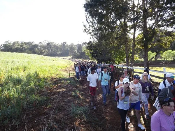 Ariranha sedia caminhada da natureza neste domingo