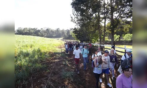 Ariranha sedia caminhada da natureza neste domingo