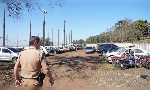 PM apreende um motorista sem habilitação a cada dois dias 