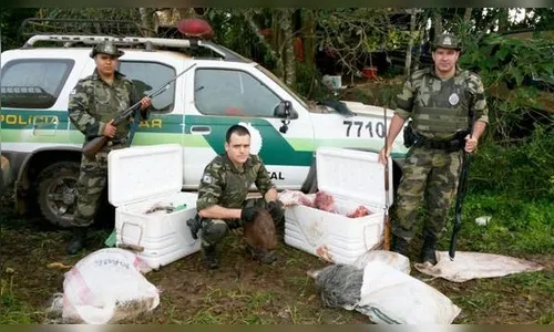 Quatro são presos por caça ilegal em Ivaiporã
