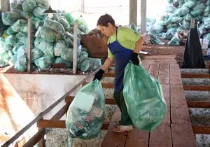 Foto: arquivo/N.Com