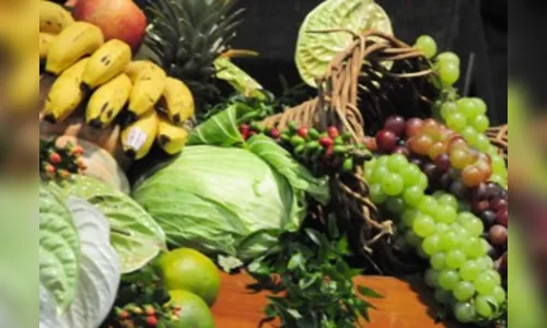 Membros do Conselho de Segurança Alimentar tomam posse em Londrina