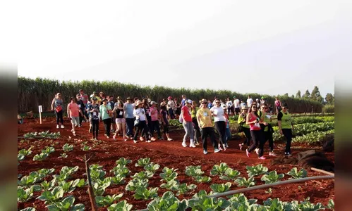 Circuito Salto do Bulha reúne mais de 600 caminhantes em Ivaiporã 