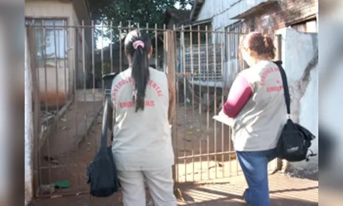 Saúde divulga números da dengue em Londrina