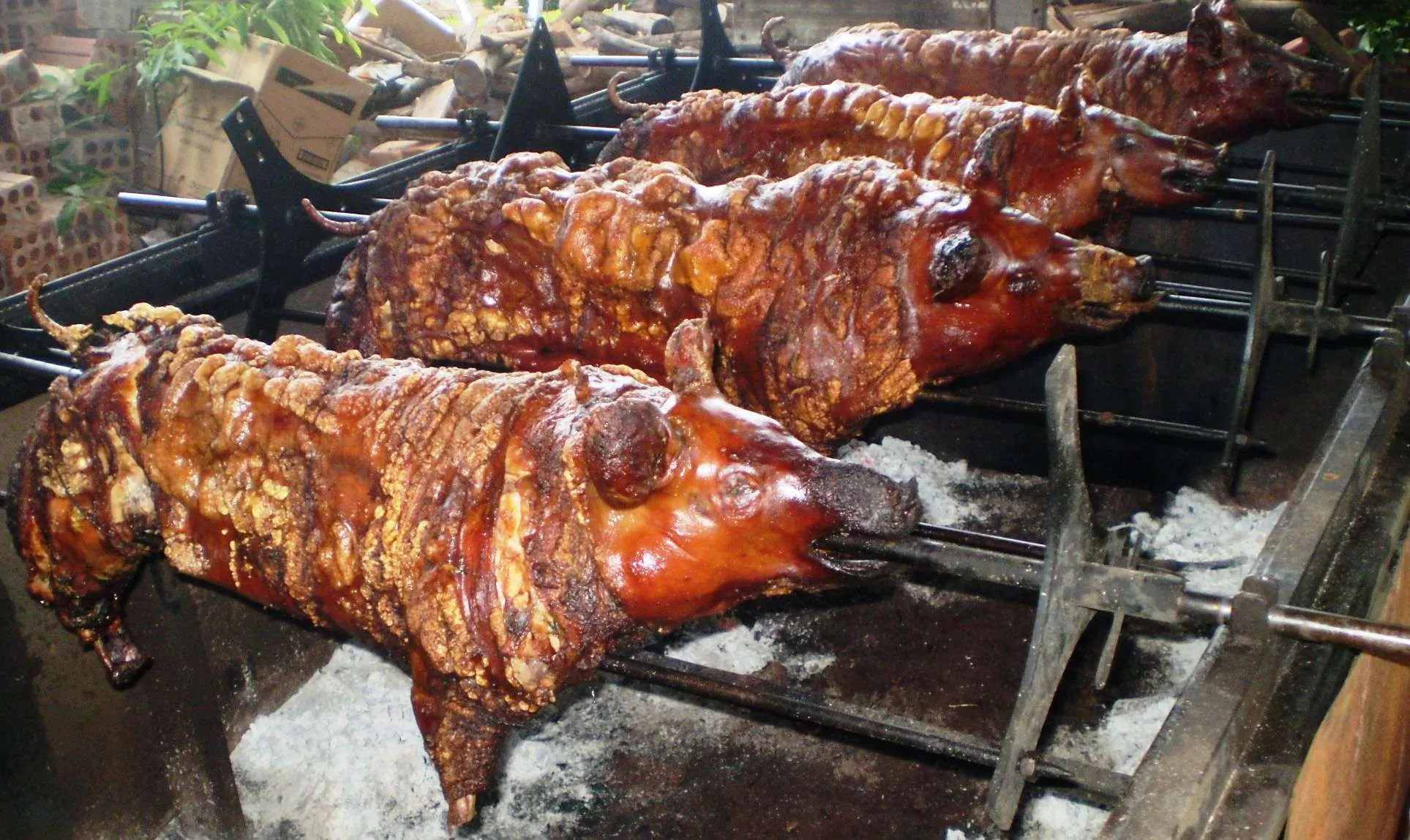 Na AABB, em Apucarana, acontece o 22º Porco no Rolete - Foto: Arquivo