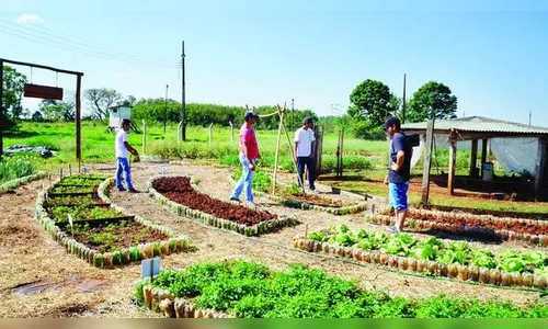 Agricultura sustentável para a região do Vale do Ivaí é uma aposta de curso do IFPR