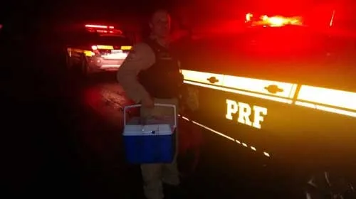 PRF transporta órgãos entre dois hospitais no Paraná - Foto - Divulgação/PRF