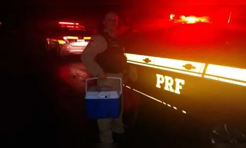 PRF transporta órgãos entre dois hospitais no Paraná