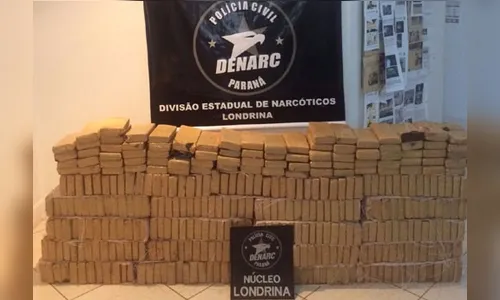Denarc apreende 320 kg de maconha em chácara abandonada