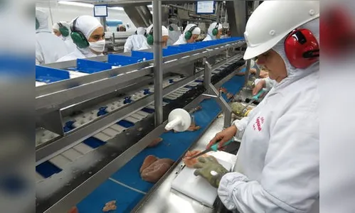 PIB do Paraná encolhe menos que o do Brasil