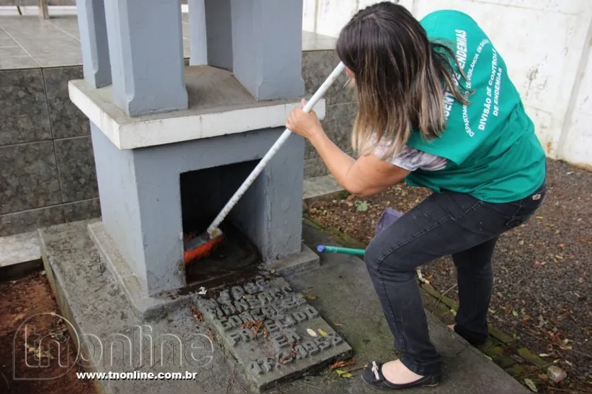 Paraná tem 110 cidades em estado de alerta com risco de epidemia de dengue