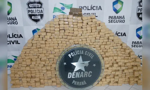 Polícia apreende 76,7 toneladas de drogas em nove meses