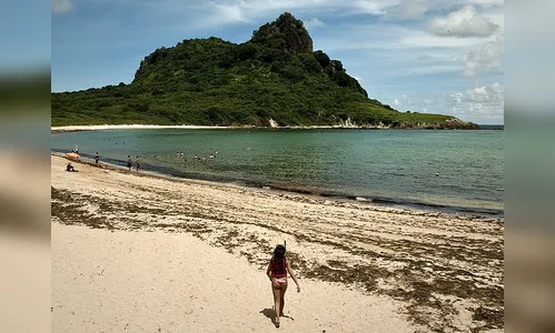 Turista tem braço amputado após ataque de tubarão 