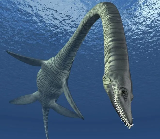 Plesiossauros foram criaturas marinhas que viveram no tempo dos dinossauros, sendo extintos há cerca de 65 milhões de anos. Foto: bbc.com