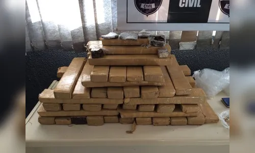 Polícia Civil apreende mais de 40 quilos de drogas em Ortigueira 