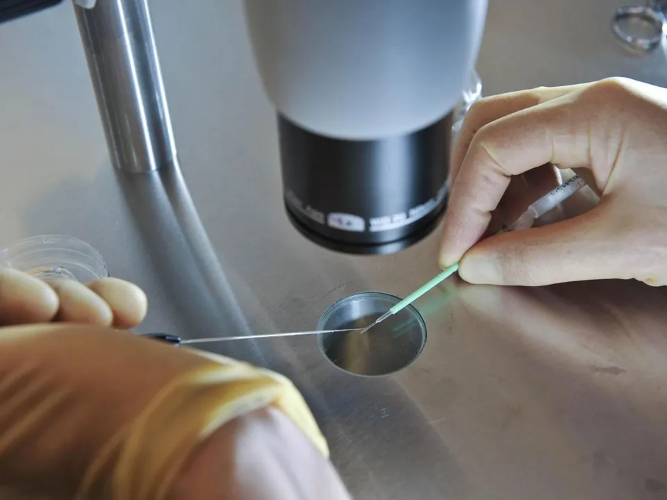 Foi garantida permissão para alterar o DNA embriões durante os sete primeiros dias seguintes à fertilização - Fonte: independent.co.uk