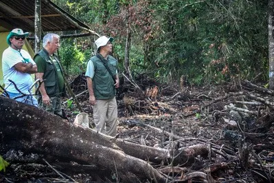 No Paraná: Fiscalização flagra desmatamento ilegal no Parque Rio da Onça - Foto: Cabo Daniel Meneghetti