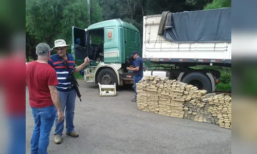 Polícia apreende 690 kg de maconha na PR – 280 