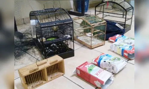 Dupla é presa caçando aves silvestres