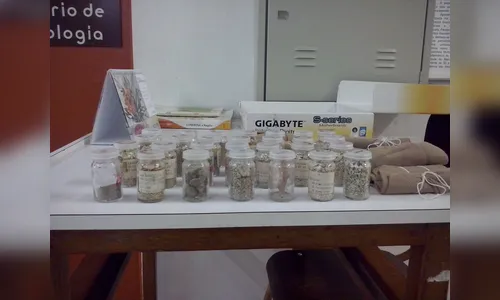 Pedras do início da descoberta do pré-sal são doadas à UEL 