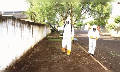 Ivaiporã corre risco de enfrentar epidemia de dengue 