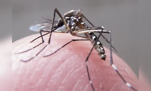 Capacitação prepara Agentes de Endemias para aplicação da Lei Municipal de prevenção à dengue