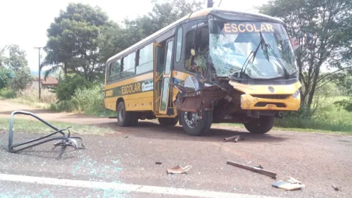 Ônibus escolar transportava cerca de 15 alunos (Foto: Bonassa Júnior/WhatsApp)