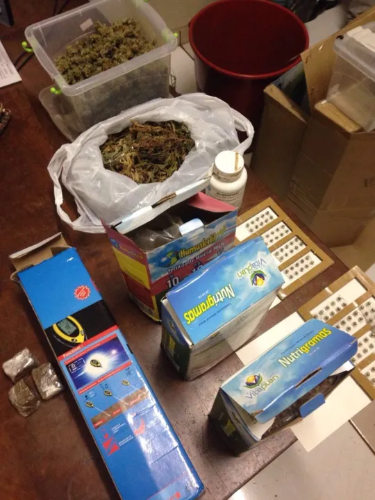 Entre itens apreendidos pela Polícia Militar em apartamento estão  180 sementes de cannabis sativa importadas da Holanda - Foto - Polícia Militar - Divulgação