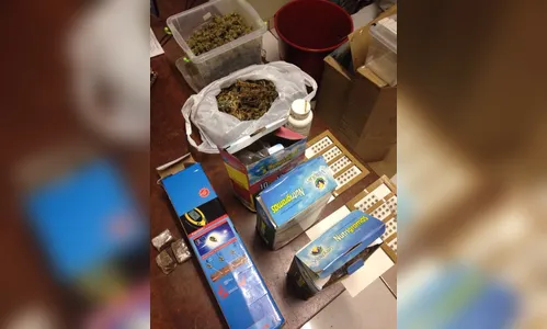 ​Empresário supostamente dono de estufa para plantar maconha tem prisão decretada