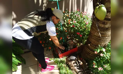 Arapongas registra queda no índice de infestação de Aedes Aegypti