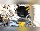 Londrina (PR) já supera 10 mil notificações de dengue neste ano
