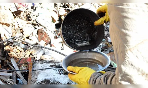 Londrina (PR) já supera 10 mil notificações de dengue neste ano