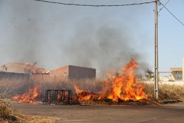 Prática de colocar fogo em mata e terrenos baldios têm acontecido frequentemente em Arapongas (Foto: Assessoria de imprensa)