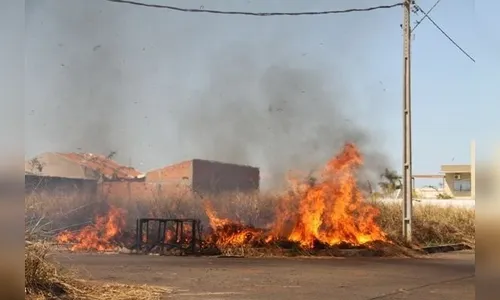 Secretaria de Meio Ambiente realiza notificação por queimada